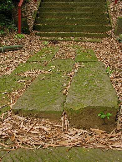 🌿 苔むした神社の石段と参道