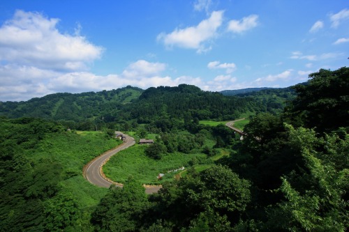 新緑に囲まれた山道のカーブが美しい風景