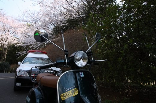桜咲く公園に駐車中のパトカーとVespa
