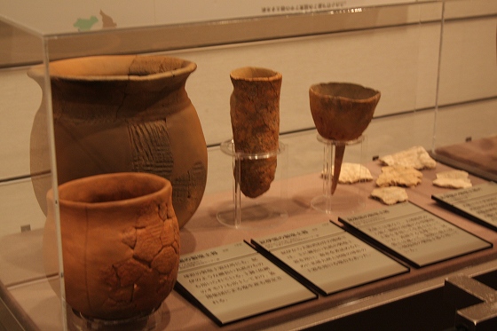歴博に展示された縄文時代の土器や出土品のショーケース