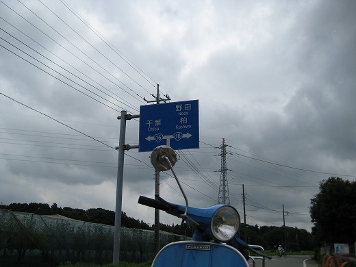 交差点と青い道路標識のある景色