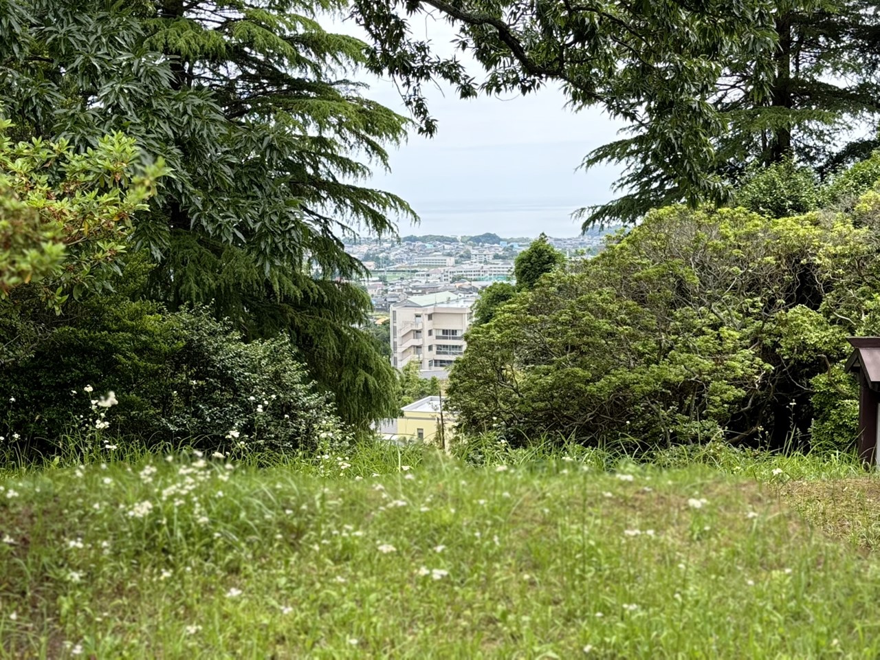 助川城跡から望む日立の市街地と海。木々の間から街並みが見える。