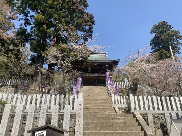 寺の石段と楼門を見上げる春の風景
