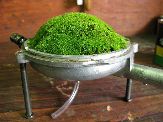🌱 苔が盛られ完成したクラッチカバー製こけ皿