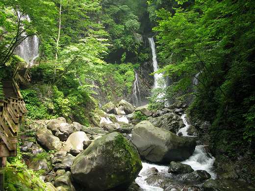 💦 岩と木々に囲まれた滝と渓流