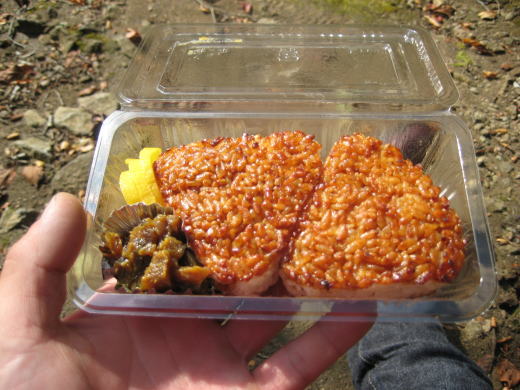 藤田小四郎像前で食べた焼きおにぎり弁当