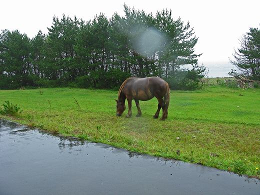 雨空の下、白い灯台の前に停まるベスパ。しっとりとした雰囲気と旅情が漂う