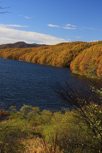 紅葉に囲まれた湖を見下ろす秋の風景