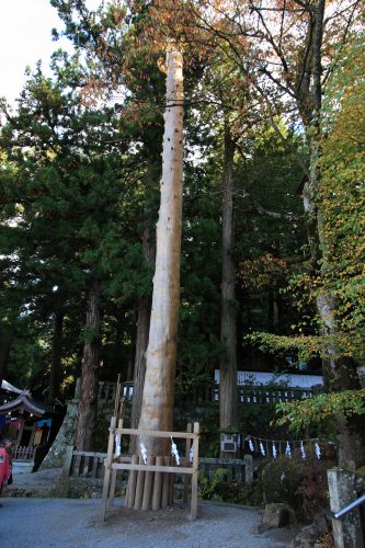 御柱祭で使用される巨大な御柱がそびえる様子