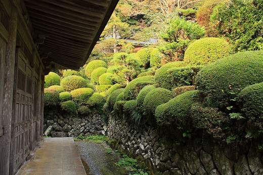 雲厳寺の美しい庭園と丸く剪定された緑の植栽
