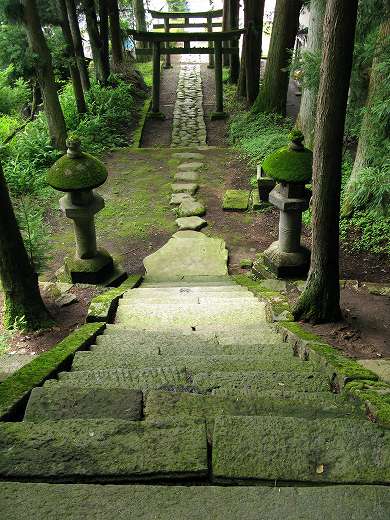⛩️ 苔むした石段と鳥居が続く神社参道