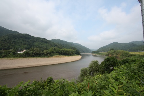 阿武隈川沿いに広がる緑豊かな川辺の風景
