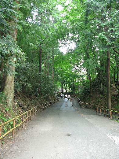 中尊寺の参道「月見坂」。緑のトンネルの中を歩く人々