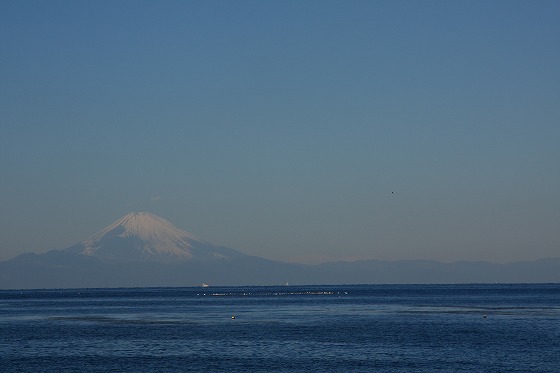海の向こうに浮かぶ富士山。房総から眺める姿は、日常と異なる趣。