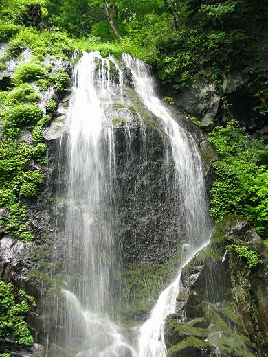 🌿 苔むす岩肌を滑るように流れる滝