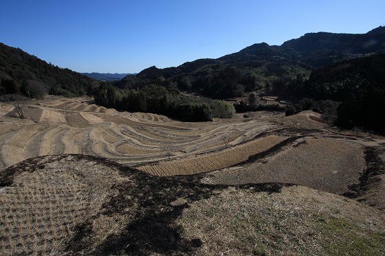 オフシーズンの大山千枚田。水のない棚田が山肌に広がる静かな景観。
