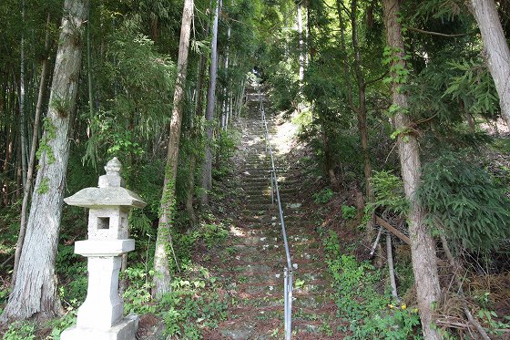 深い森の中を一直線に続く石段と、その両脇の木立