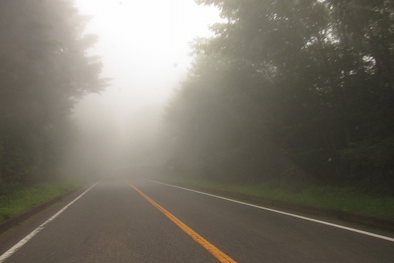 走行中に突然霧に包まれた森林の中の道路。