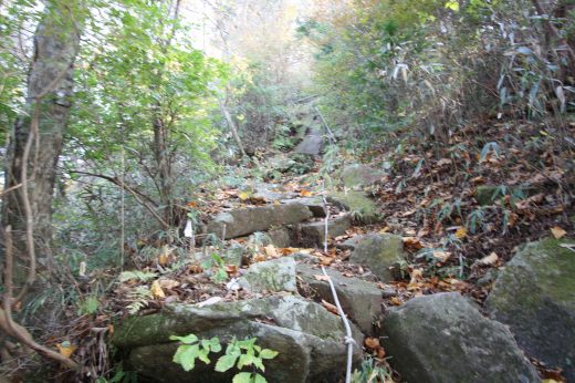 岩がゴツゴツと積み重なる急な登山道。ロープを頼りに登る。