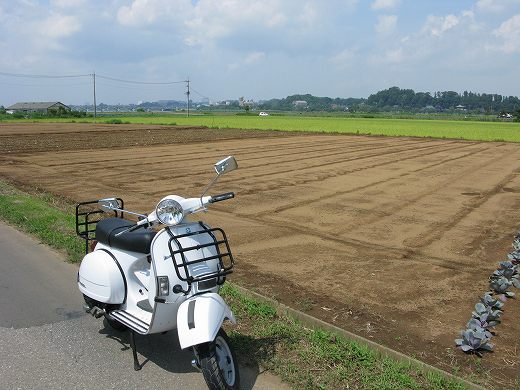 畑の前でエンジンが止まった白いベスパ