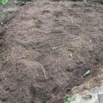 苗を植える前に整えられたKB農園の畑の土の様子。