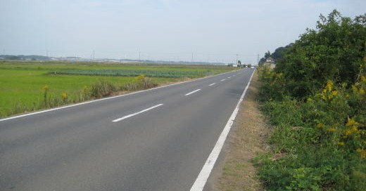 手賀沼沿いの一直線に伸びる道路の風景