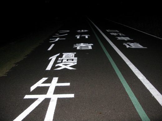街灯に照らされた手賀沼沿いの舗装路に書かれた白い標示「歩行者優先 ランナー」。