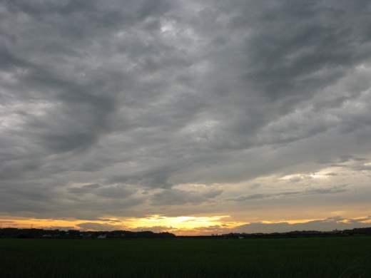 夕暮れの田園風景に広がる低く厚い曇り空
