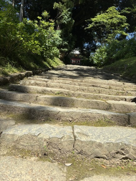 苔むした石段の先に見える赤い社殿
