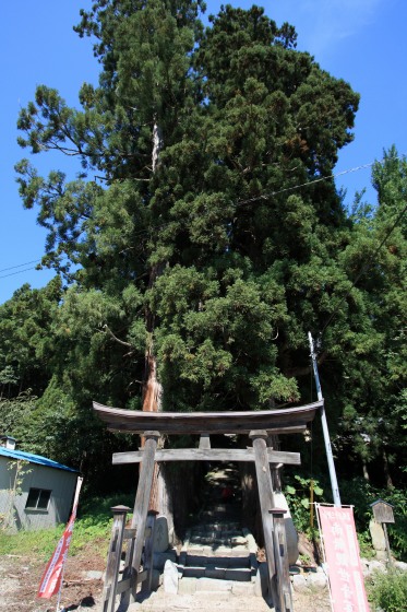 深山観音堂の境内にある静かな雰囲気の茅葺き屋根の御堂