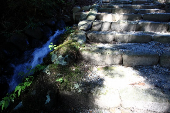 苔むした独特な構造の石段と小川の流れ