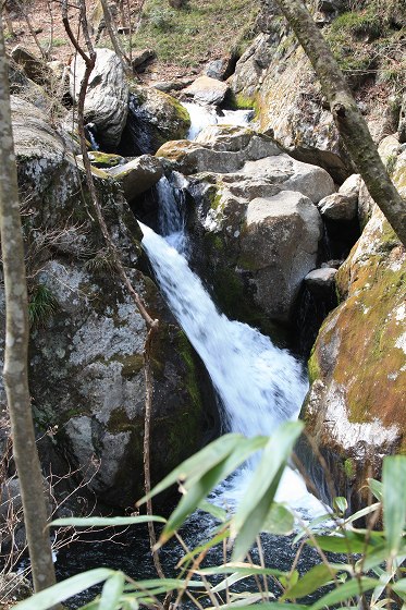 岩間を流れる花園渓谷の滝の風景