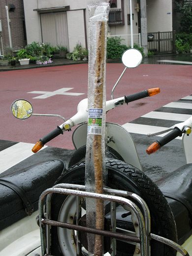 路上に落ちていた1本のごぼう