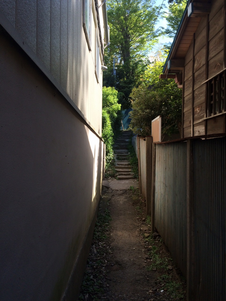 細い路地の奥に続く石段と木々に囲まれた小道