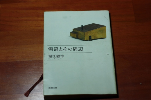 堀江敏幸「雪沼とその周辺」の文庫本表紙