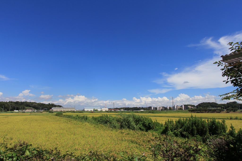 曇天の空（その1）