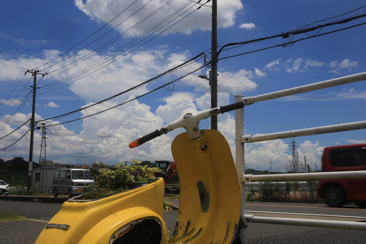 入道雲が湧く夏空の風景。
