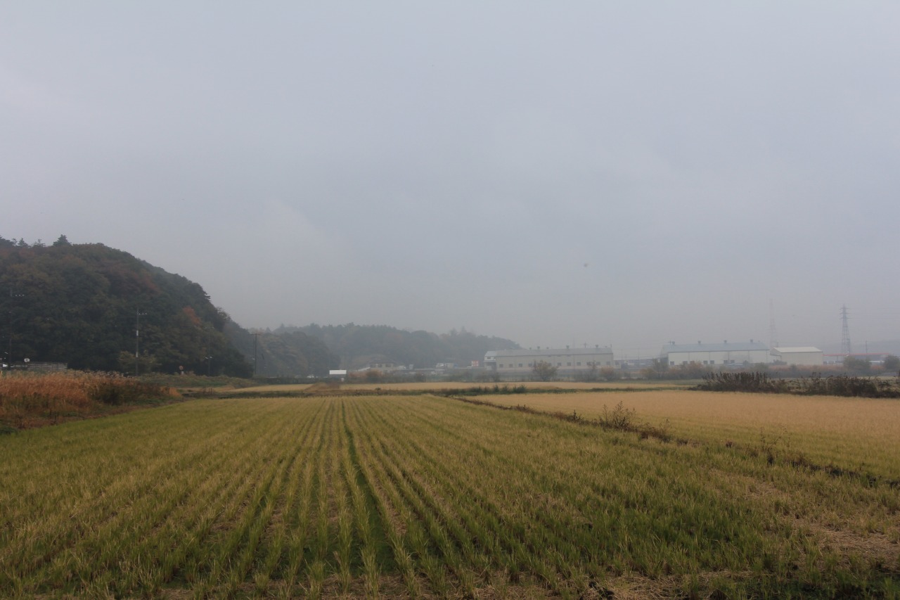 霧雨に煙る週末の風景