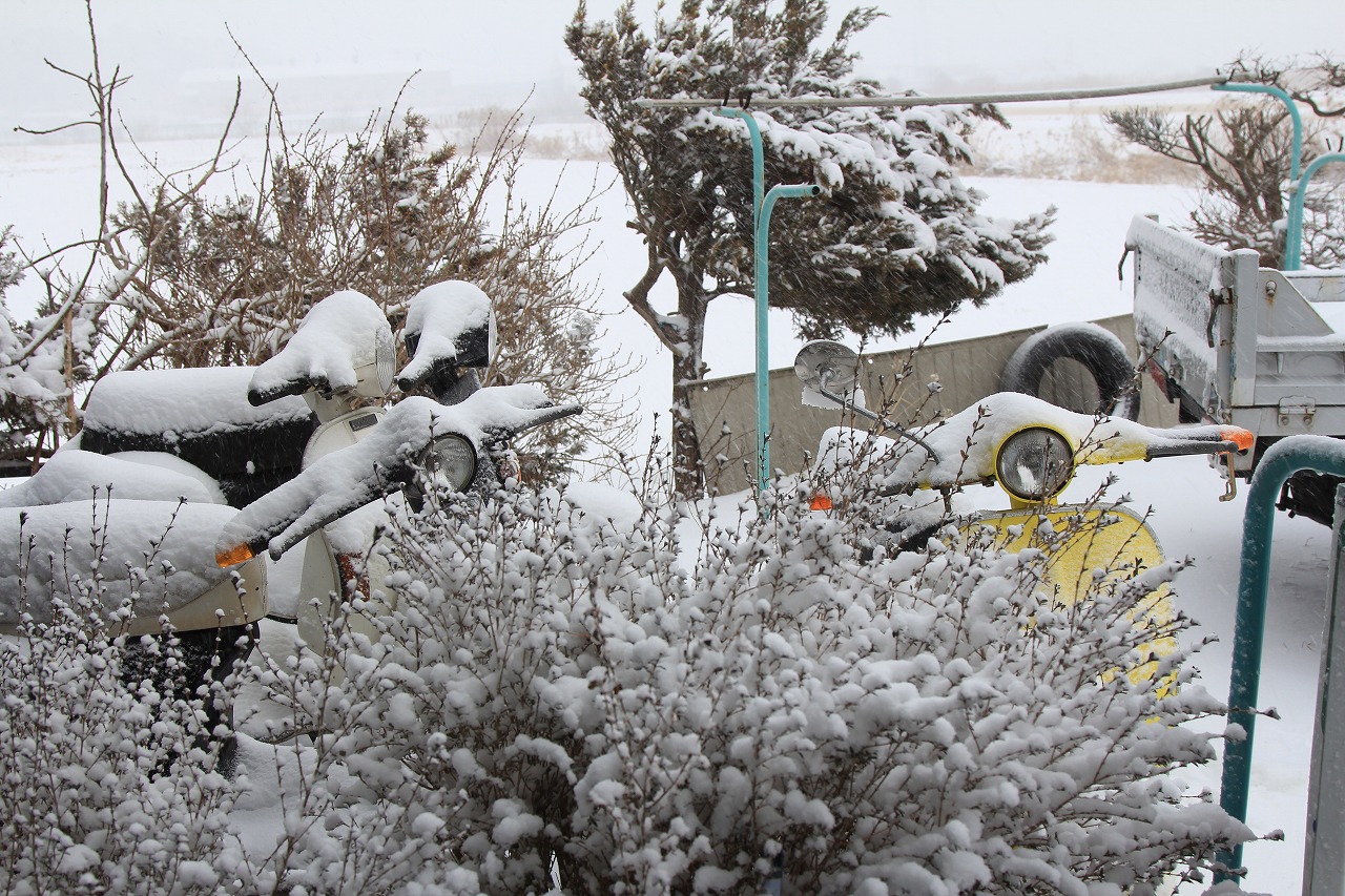 雪に覆われた店舗前の風景