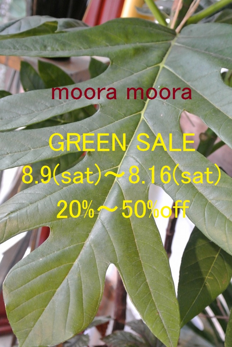 moora mooraのGREEN SALE開催を知らせるフライヤー