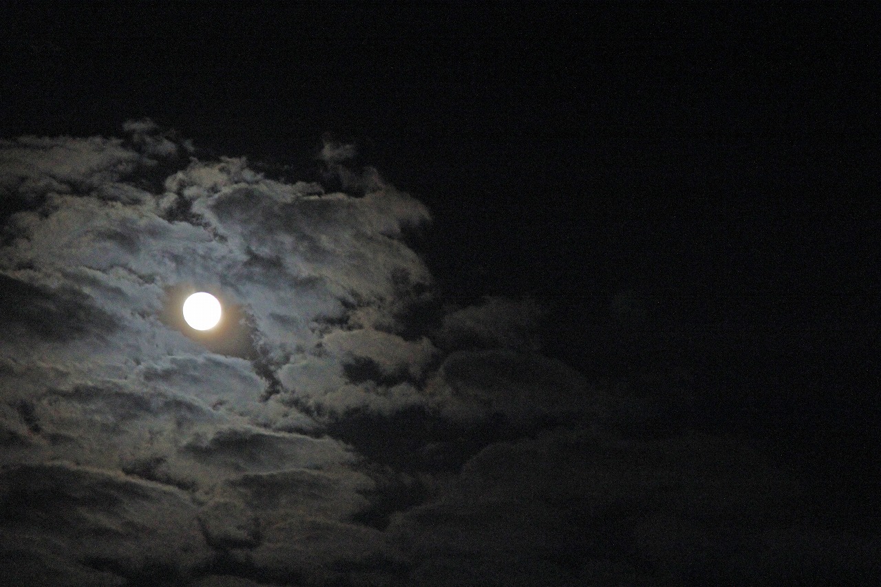 日が暮れて浮かび上がる綺麗な満月の夜空