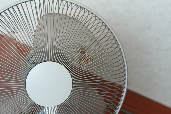 扇風機の内部に入り込んでしまった大きな蛾の姿。