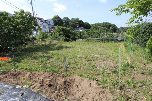 長らく放置され草に覆われたKB農園の新たな区画