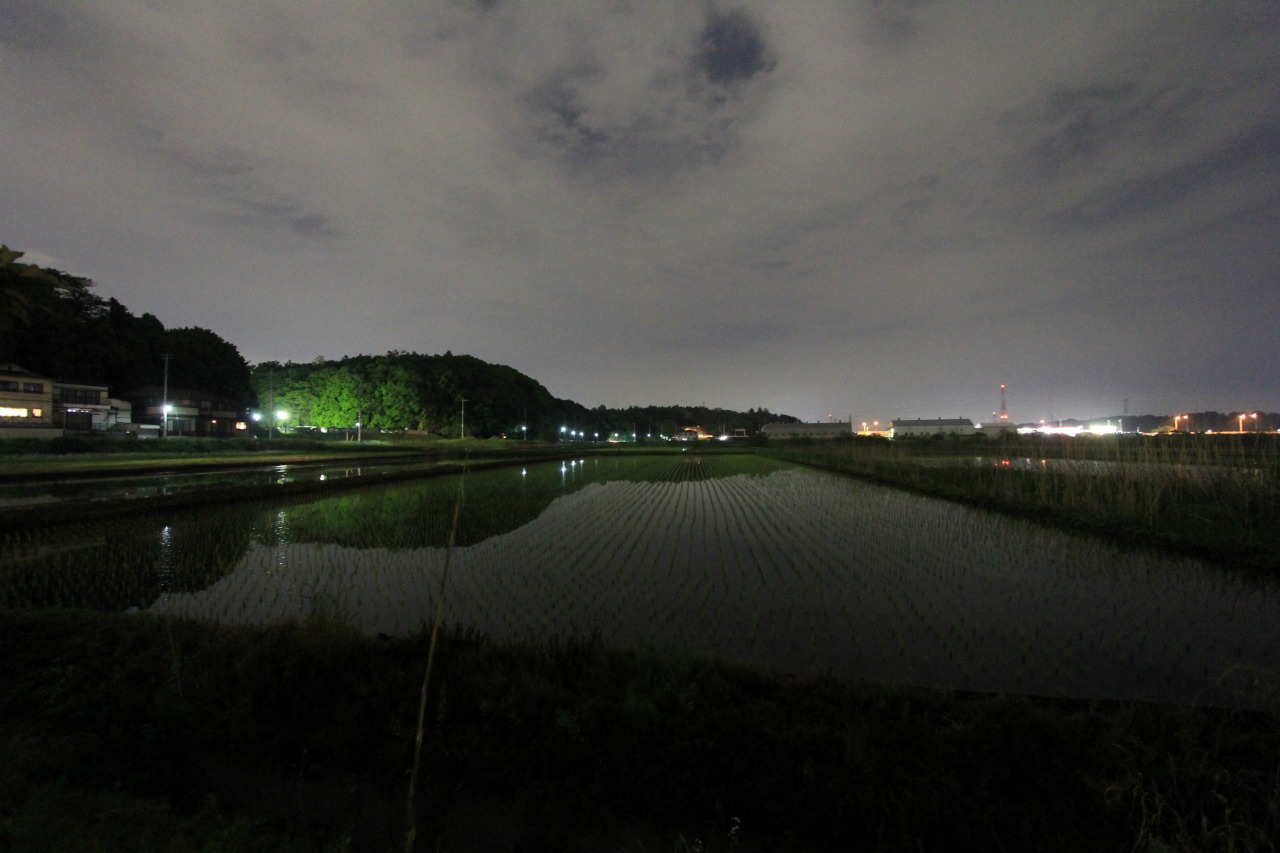 雨の中、静かに時が流れる店先の様子