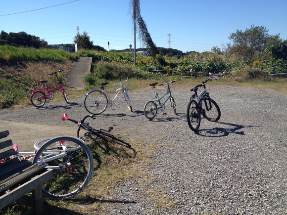 快晴の河川敷を自転車で走る筆者の後ろ姿。
