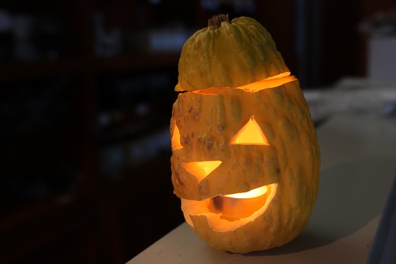 店内に飾られたカボチャ、ハロウィンの雰囲気を演出するための飾り