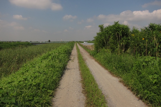 サイクリング中に迷い込んだ未舗装のダート道