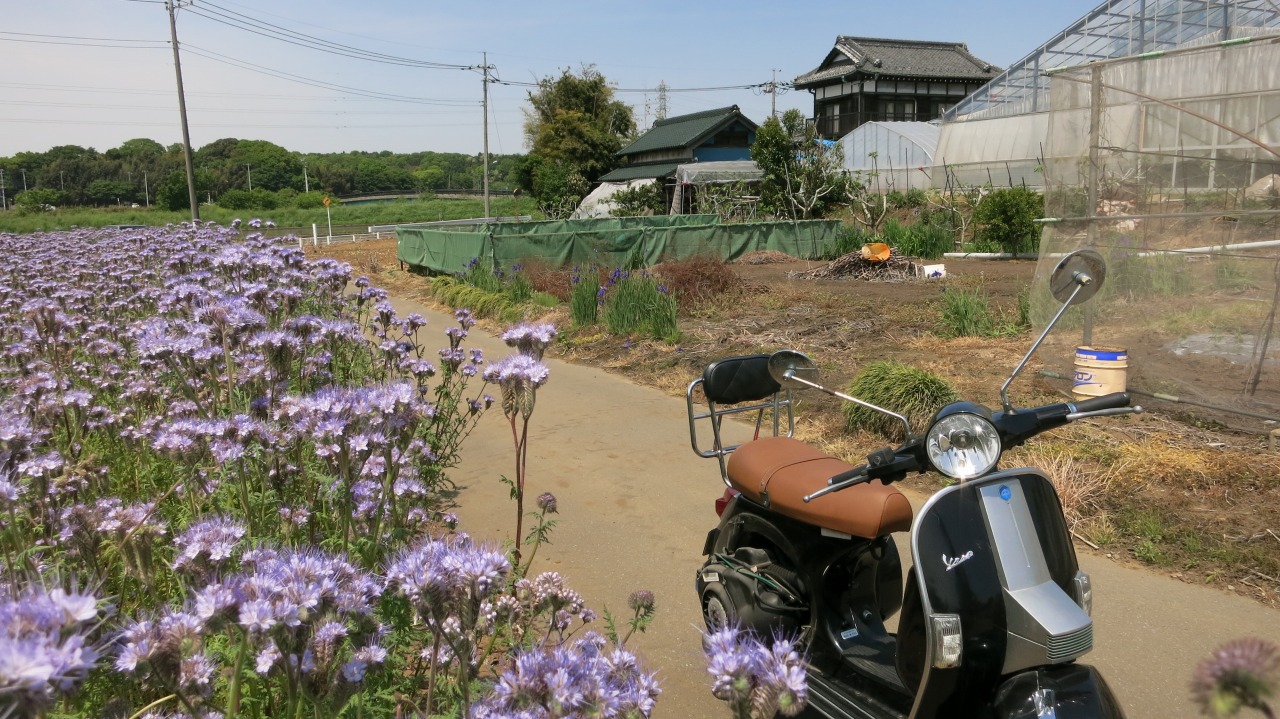 営業前に複数のベスパを試運転している様子。