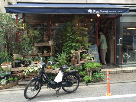 柏の街で昼食中に雨が降り出す様子