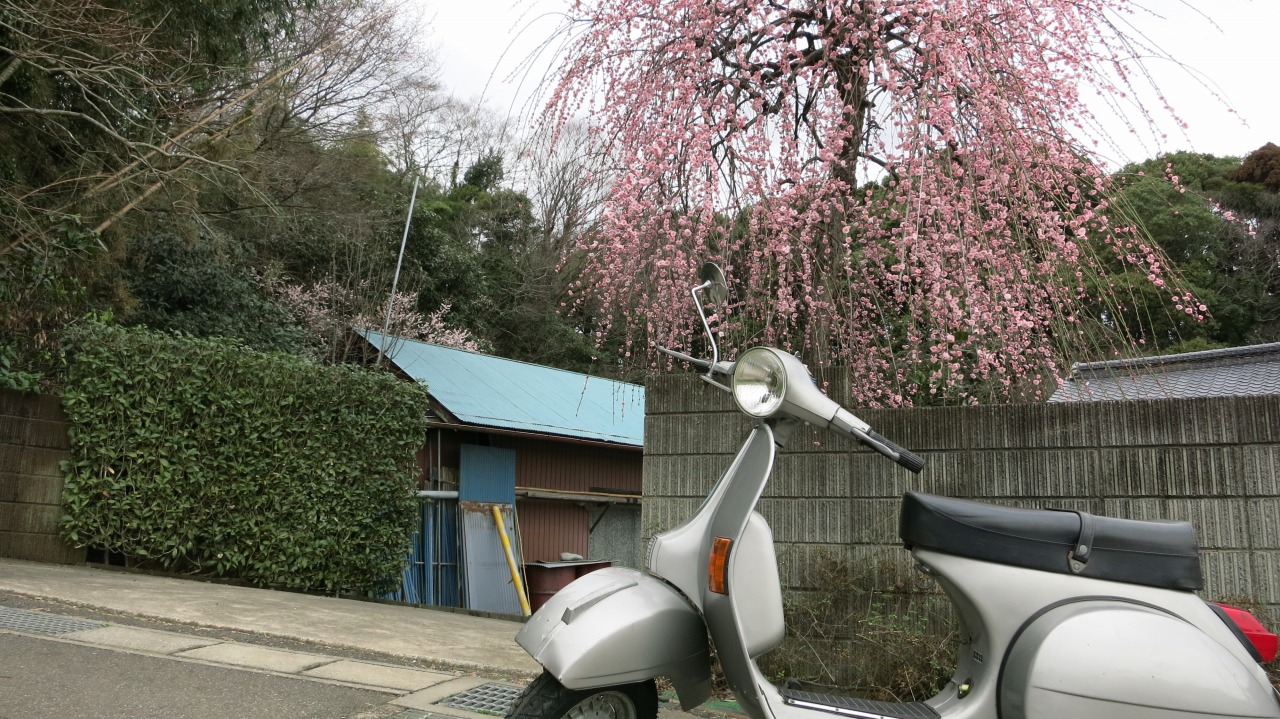 試運転を終えたベスパの横姿
